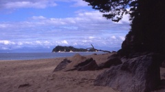 Menschenleerer Paradies-Strand im Abel-Tasman-Nationalpark - Schuld daran sind lästige Sandfliegen :-(.
